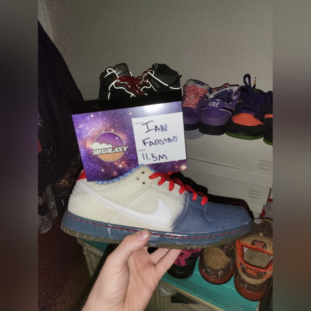 2015 Nike Dunk Low SB